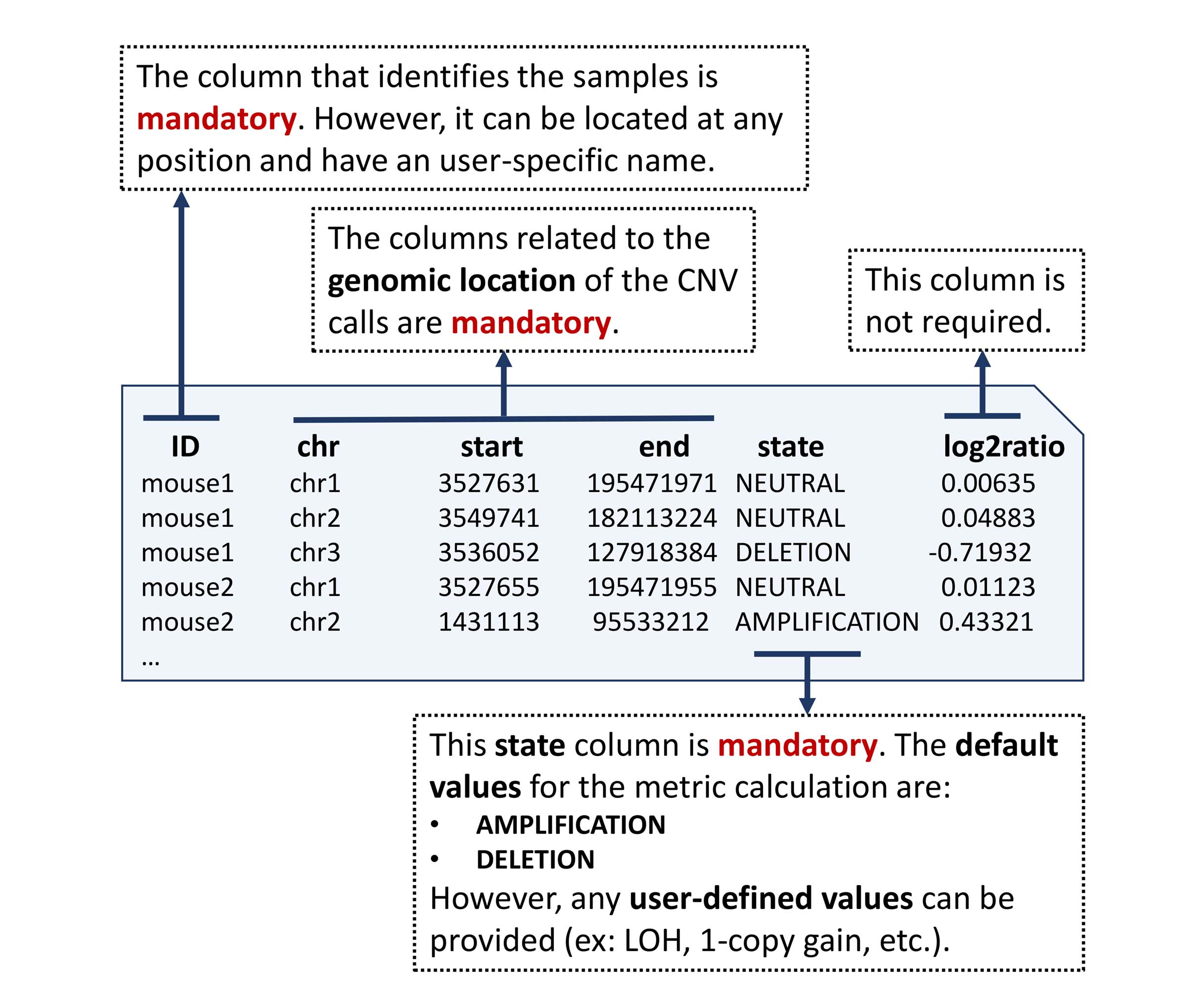 Example of a copy number file containing CNV calls.