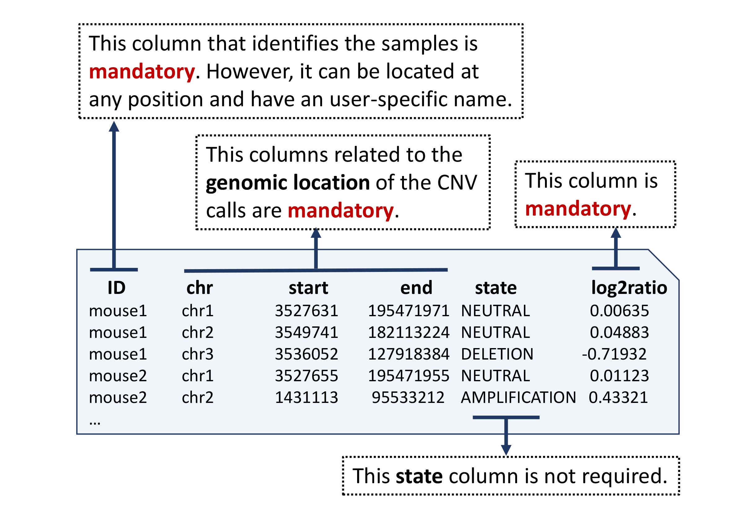 Example of a copy number file containing log2ratio values.