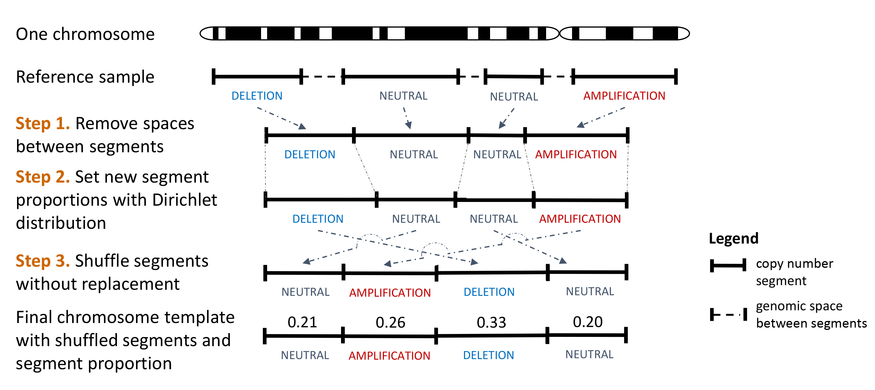 Workflow showing the creation of a chromosome template from one reference sample.
