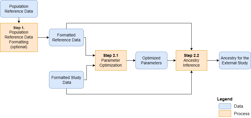 An overview of the genetic ancestry inference process.