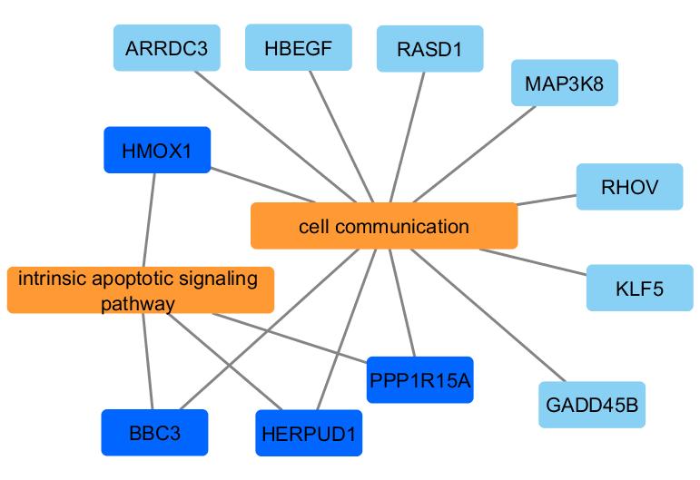 A network where significant GO terms and genes are presented as nodes while edges connect each gene to its associated term(s).