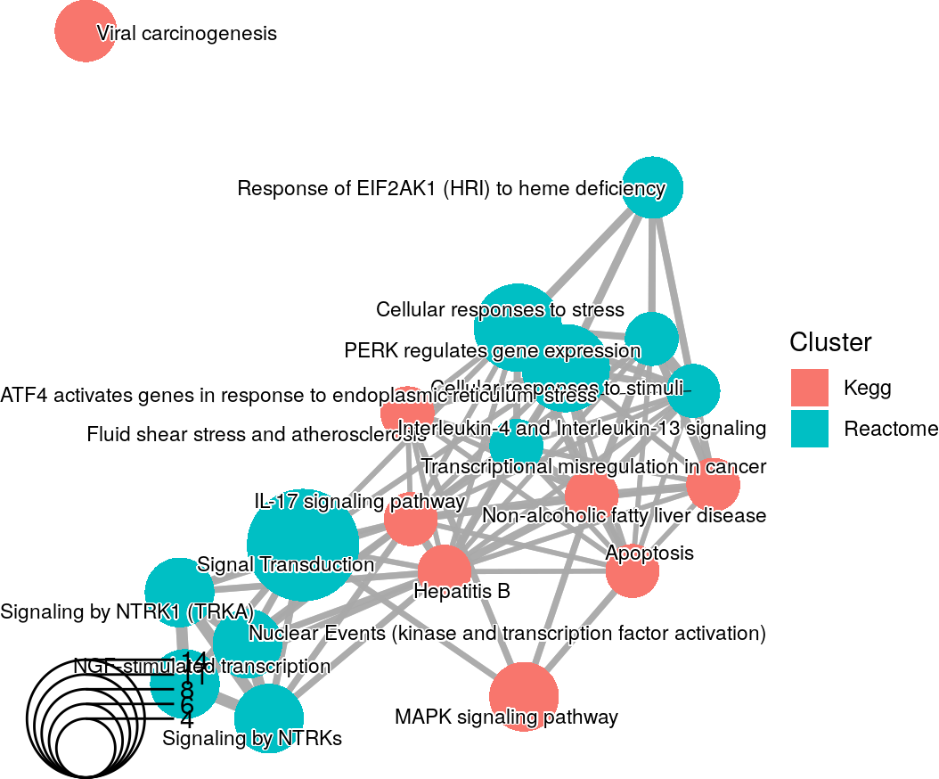 An enrichment map containing Kegg and Reactome results from the rosa Napa vs DMSO analysis.