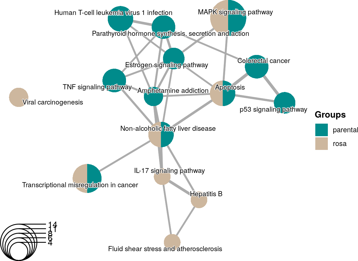 An enrichment map using KEGG terms from two enrichment analyses with personalized colors and legend.