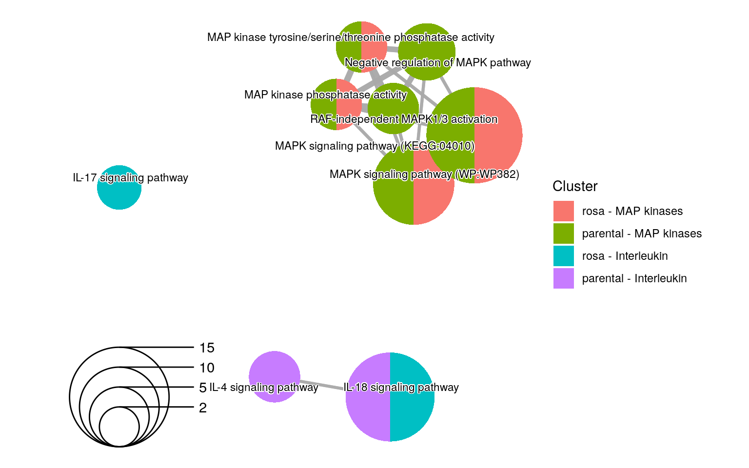 An enrichment map using selected terms related to MAP kinases and interleukin in two different experiments.