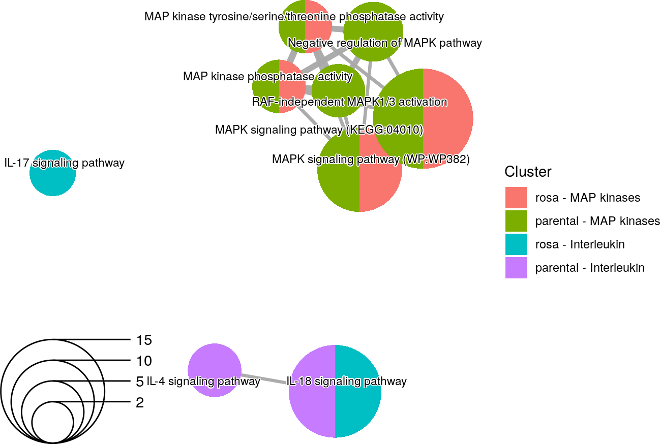 An enrichment map using selected terms related to MAP kinases and interleukin in two different experiments.