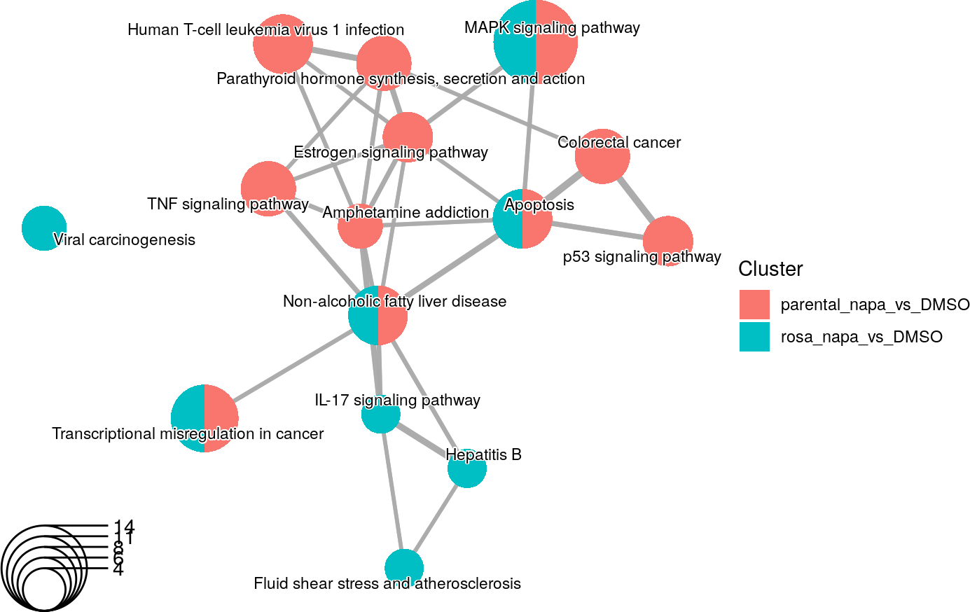 An enrichment map using the same data fromt the previous one but with a different seed.